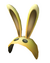 BrawlBunnyHoodArtwork.png