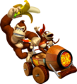Donkey Kong and Diddy Kong*