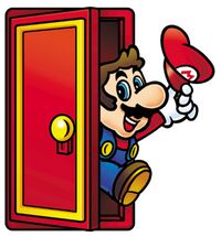 Mario out of door SMA.jpg