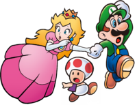 Peach Luigi Toad SMA4 SMB3.png