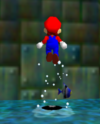 SM64 flying fish.png